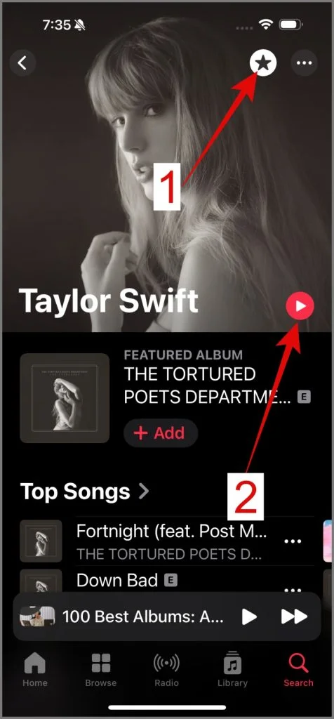 Apple Music Artist pages icons