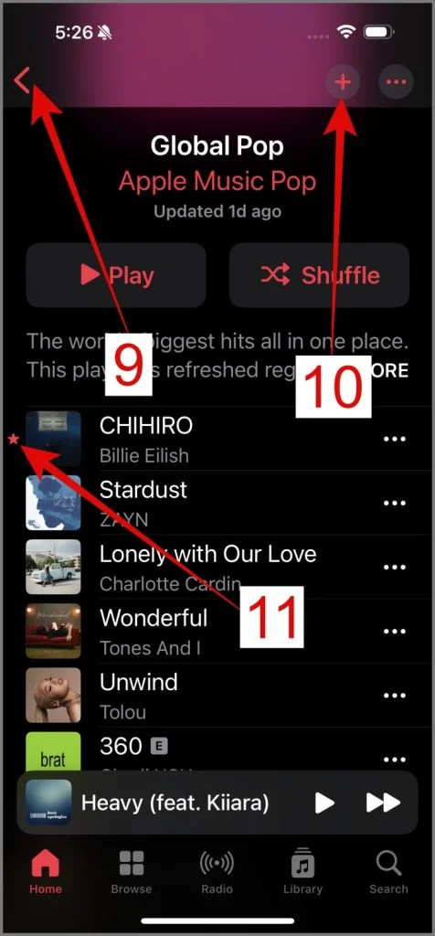 Apple Music Playlist icons