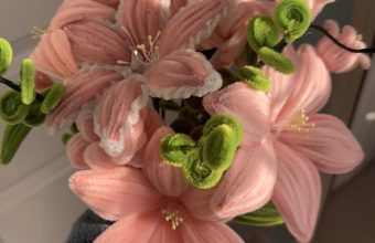 pipe cleaner flower bouquet